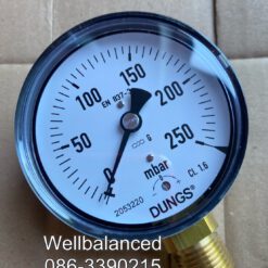Dung Pressure gauge 0/250 mbar