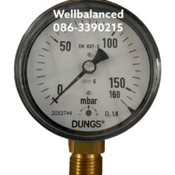 DUNG Pressure Gauge KP80