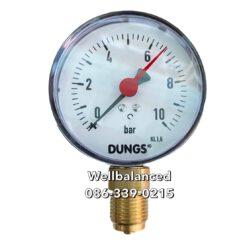"DUNGS"  Pressure Gauge RF80