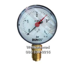 "DUNGS"  Pressure Gauge RF80 0/4 bar