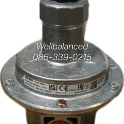 DUNGS Pressure regulator FRS 503