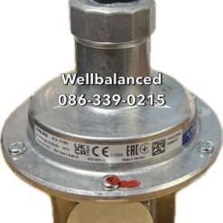 DUNGS Pressure Regulator FRS 505