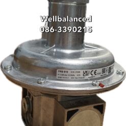 "DUNGS" Pressure Regulator FRS 510