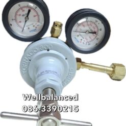 Messer Pressure Regulator TORNADO300 300/20