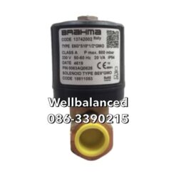 Brahma Solenoid Type E6G*S10*1/2*GMO