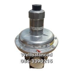 DUGNS Safety blow off valve FRSBV 1010