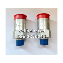 REGO Safety Relief Valve AA3130UA250