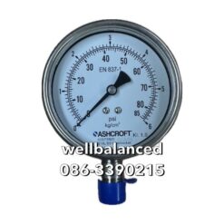 ASHCROFT Pressure Gauge T5500-SD-04L-0/6Kg/cm2