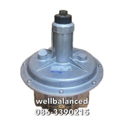 DUGNS FRS 520 Pressure Regulator