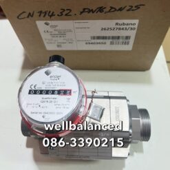 ELSTER Gas Meter QA16 DN25