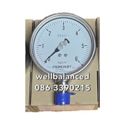 ASHCROFT Pressure Gauge 100-T5500-SD-04L-0/6Kg/cm2