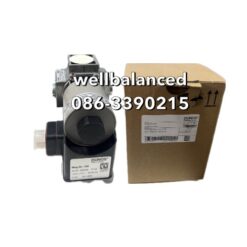 DUNGS Solenoid Valve MVD 505/5 AC 110 V IP 54