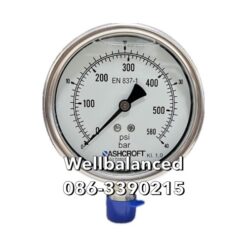 ASHCROFT Pressure Gauge 100-T5500-SL-04L-0/40BAR&PSI