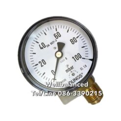 DUNGS Pressure Gauge 3" 0-100 mbar
