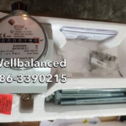 ELSTER QA100 80 ZI Gas Meter