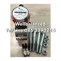 ELSTER  QA65 50 ZI Gas Meter