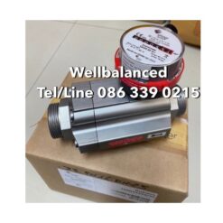 ELSTER QA25 25 GI Gas Meter