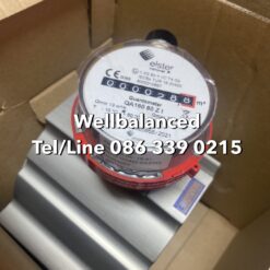 ELSTER QA160 80 ZI Gas Meter