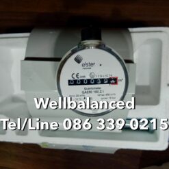 ELSTER QA250 100 ZI Gas Meter