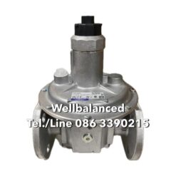 DUGNS FRS 5040 Pressure Regulator