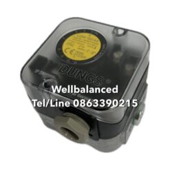 DUNGS LGW150 A4 Y-Ag-M