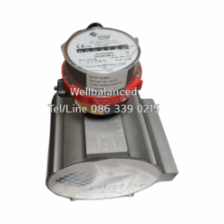 ELSTER QA250 80 ZI Gas Meter