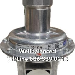 Dungs FRS 507 Pressure Regulator