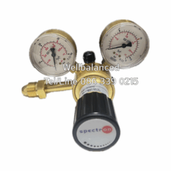 SPECTRON Pressure Regulator LT2000 : 300/10