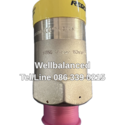 REGO 3135G Safety Relief Valve